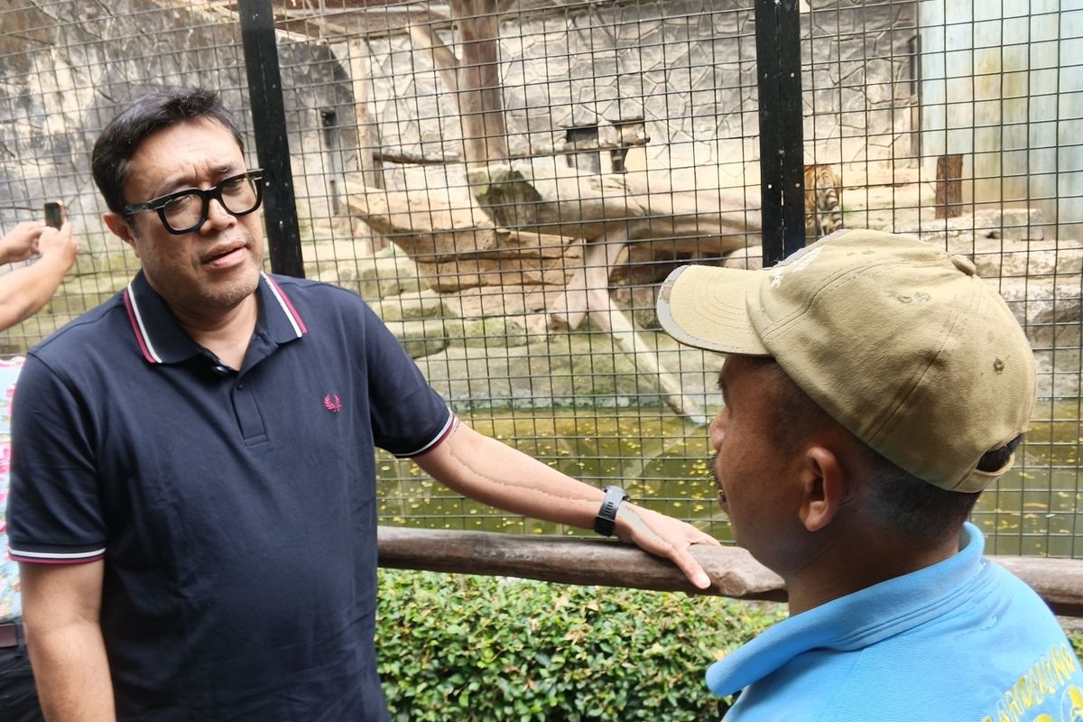 Sorot Anak Harimau Mati di Bandung Zoo, Ono Surono Ungkap Arahan Megawati  demi Selamatkan Satwa