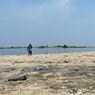 Pulau G Bakal Diarahkan Jadi Permukiman, Pakar: Sebaiknya Dibatalkan karena Bermasalah sejak Awal