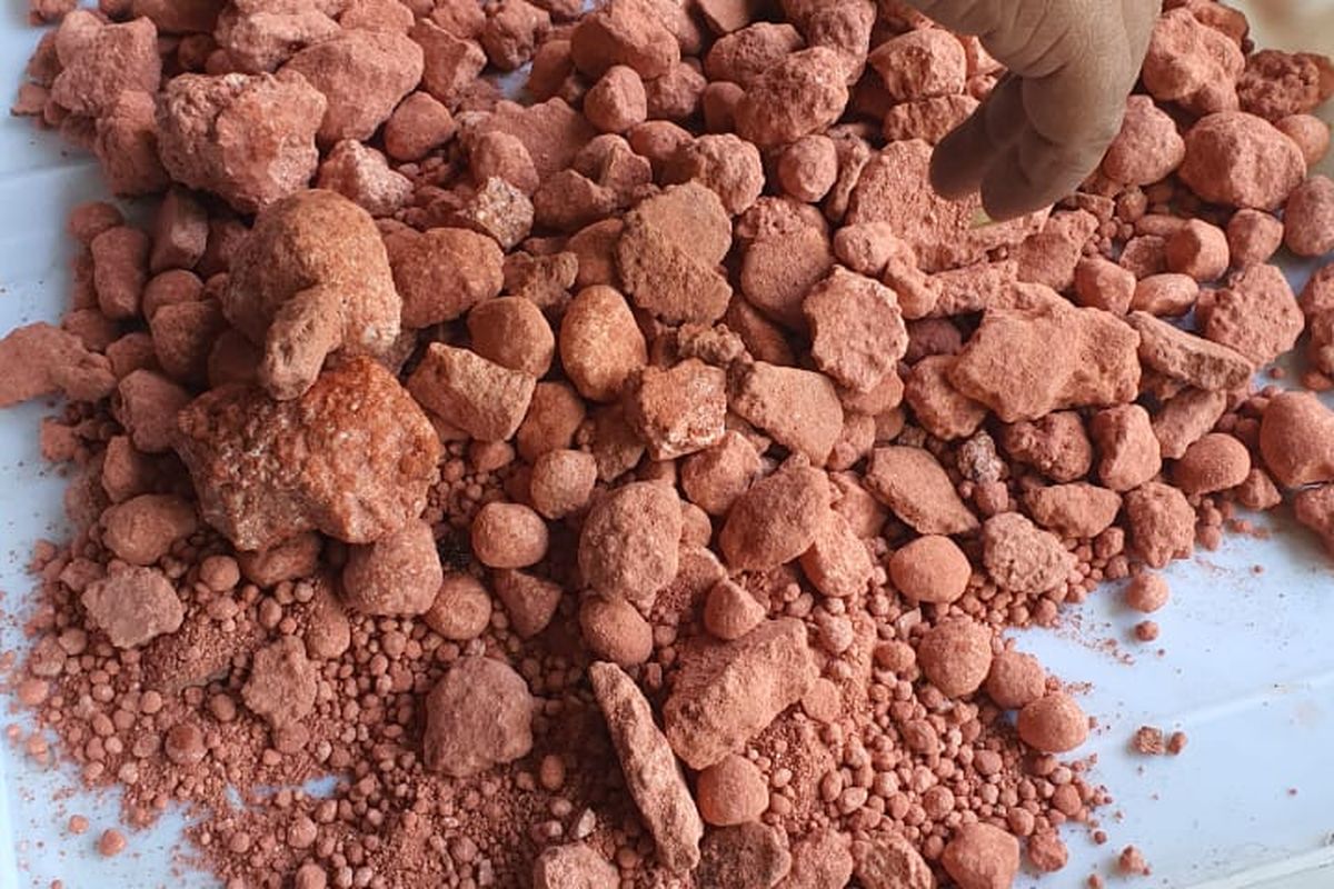 Foto: Pupuk NPK yang diduga dicampur batu bata.