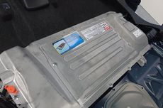 Libur Nataru, Jelajahi Safari Malam Rimba Warna di Taman Safari Bogor