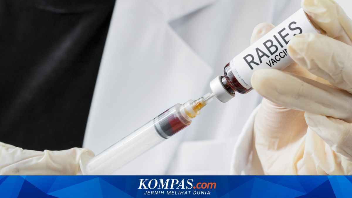 Sikka KLB Rabies, tetapi Sudah Sebulan Stok Vaksin HPR Kosong