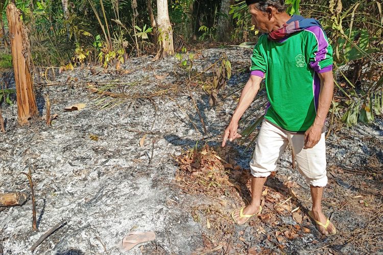 Lansia di Sukabumi Tewas Saat Padamkan Api yang Membakar Lahan Bambu