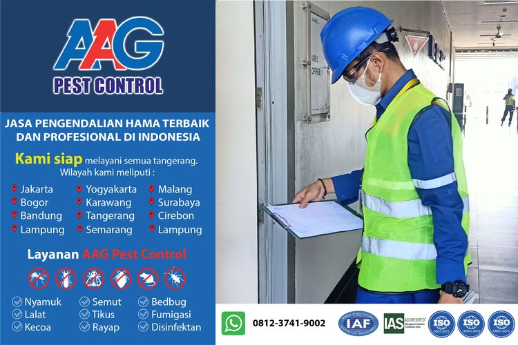 PT Atrindo Asia Global (AAG) Pest Control memberikan jasa pengendalian hama terbaik dan profesional di Indonesia.

