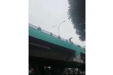 Viral Seorang Pria Lompat dari Atas Flyover di Surabaya, Motifnya Putus Asa