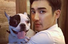 Gelar Fanmeeting di Jakarta, Siwon Siapkan Banyak Kejutan untuk Penggemar