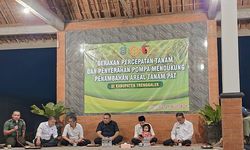 Kementan Jaga Produksi Padi lewat Pompanisasi dan Percepatan Tanam