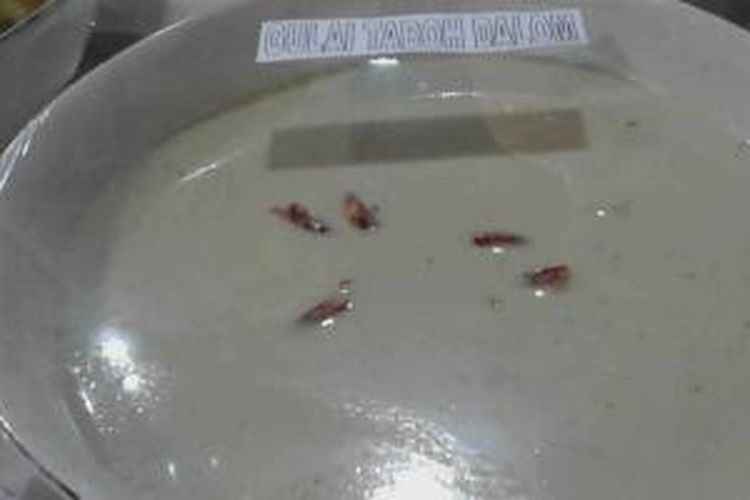 Gulai Taboh Dalom, menu khas Lampung Barat. Menu itu terbuat dari bahan utama ikan gabus atau ikan nila. 