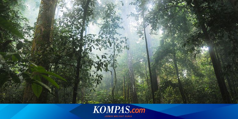 Tanggal 7 Agustus Memperingati Hari Apa?