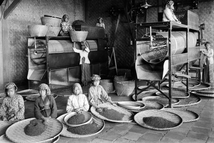 Ilustrasi Imperialisme Modern: Para pekerja pada Pabrik Teh Hindia Belanda 1910