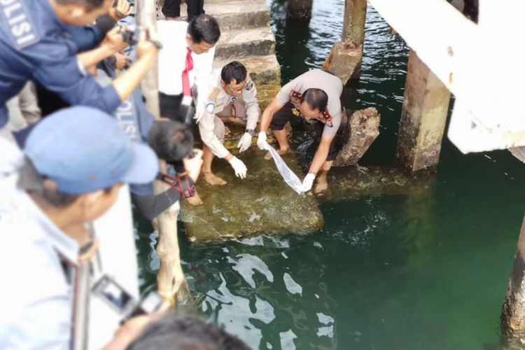 90.765 benih lobster jenis pasir dan mutiara senilai Rp 13,6 miliar diselamatkan, saat akan diselundupkan ke Singapura melalui jalur laut dari Batam, Kepulauan Riau (Kepri), Selasa (7/8/2018).