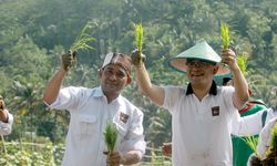 BP Taskin dan Genta Pangan Dorong Ketahanan Pangan Jadi Solusi Pengentasan Kemiskinan