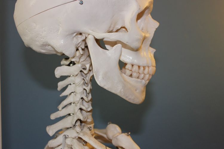 Ingin tulang kuat dan terhindar dari osteoporosis? Ini kata dokter soal kebutuhan vitamin D dan kalsium, serta pilihan antara susu atau suplemen.