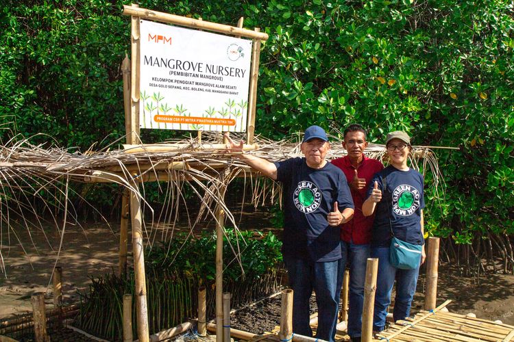 PT Mitra Pinasthika Mustika Tbk melakukan penanaman 20.000 bibit mangrove di Nusa Tenggara Timur (NTT). 