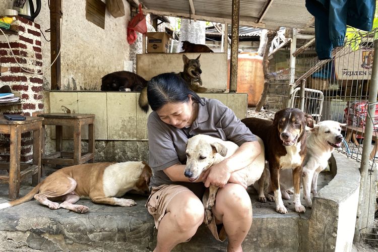 Susana Somali, Sosok di Balik Tempat Pulang bagi Hewan Terlantar di Pejaten Shelter