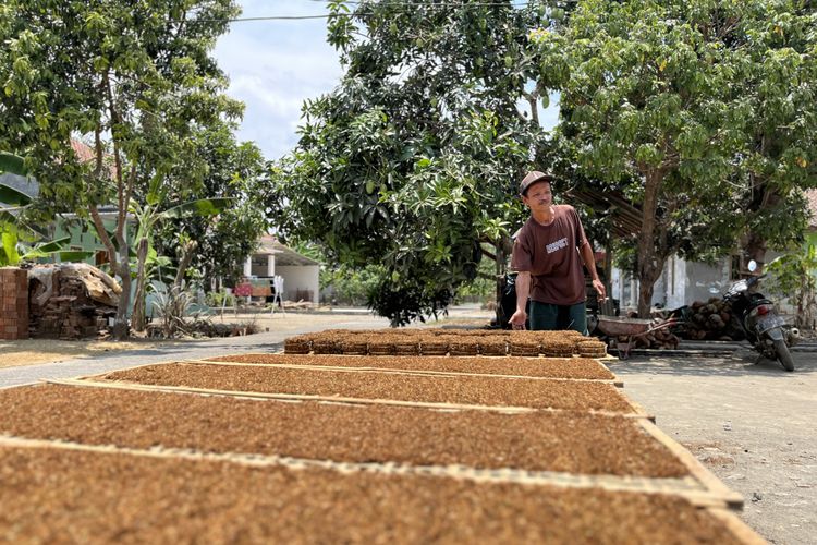 Warisan Nenek Moyang Petani Pangandaran, Tembakau Tarisi Diburu tetapi Pasokannya Terbatas 