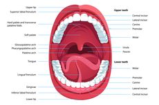 Lima Gangguan Rongga Mulut yang Harus Diwaspadai
