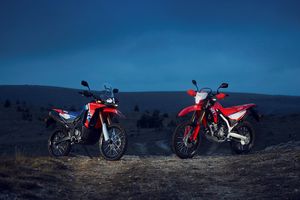 Inden Honda CRF250 Rally Disebut Bisa sampai 2027, Ini Penjelasannya