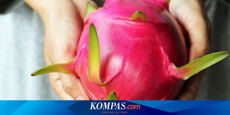 Manfaatkan Buah Naga Untuk Sel Surya Siswa Ini Berlaga Di Amerika Halaman All Kompas Com