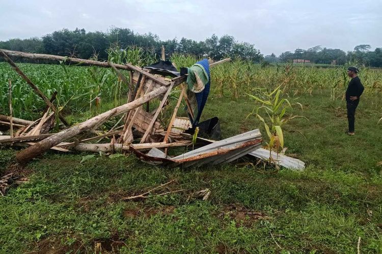 Gubuk di ladang warga Lampung Timur yang hancur diserang gajah liar, Kamis (10/11/2022). Korban bernama Zarkoni meninggal setelah dirawat akibat diinjak gajah.
