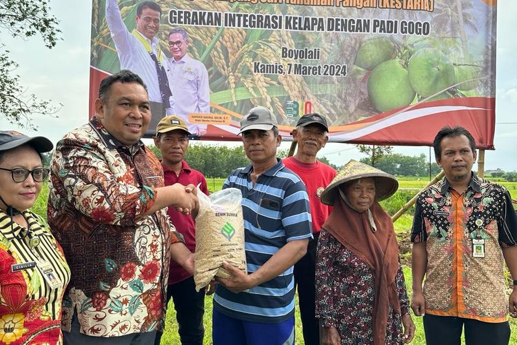 Direktur Jenderal Perkebunan Andi Nur Alam Syah dalam acara penanaman padi gogo di lahan perkebunan kelapa di Desa Giriroto, Kecamatan Ngemplak, Kabupaten Boyolali, Jawa Tengah (Jateng), Kamis (07/3/2024).

