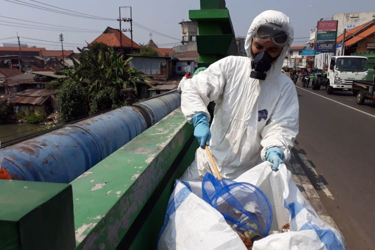 Bersih-bersih Sungai Kali Surabaya dari limbah popok.