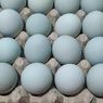 Apa Saja Manfaat Telur Bebek untuk Kesehatan?