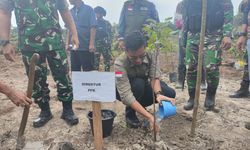 4.700 Hektare Bekas Lahan Sawit di Tesso Nilo Kembali Ditanami