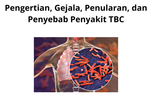 Pengertian, Gejala, Penularan, dan Penyebab Penyakit TBC