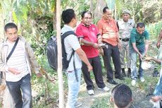 Lingkungan Rusak di TTU akibat Budaya Tebas dan Bakar Lahan