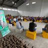Pasca-kunjungan Presiden Jokowi di Madiun, Benih Porang Banyak Diborong Petani Luar Daerah