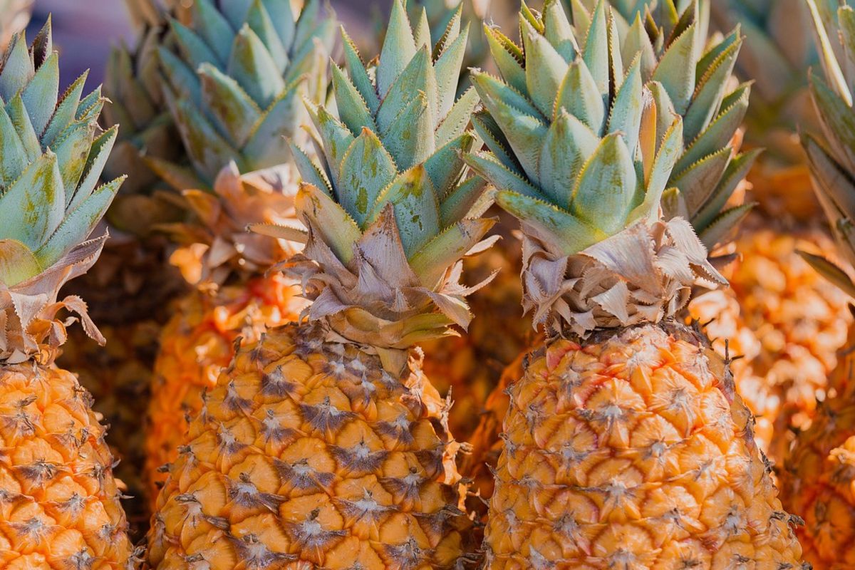 Ilustrasi nanas, buah nanas.