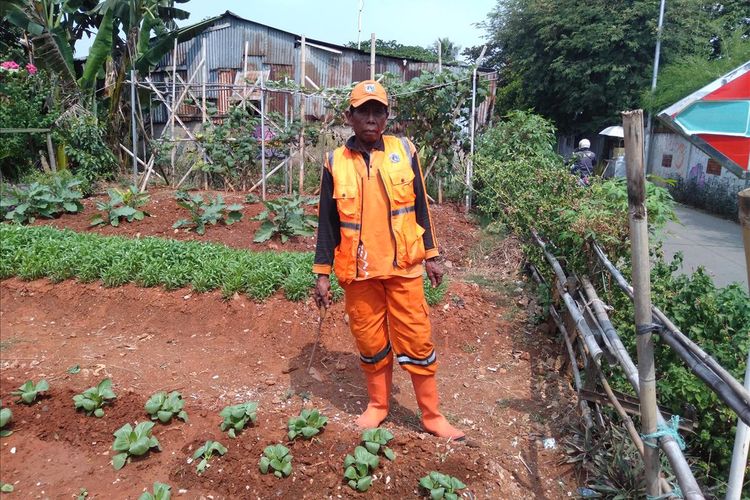 Hamdja, anggota PPSU Kelurahan Lebak Bulus, Jakarta Selatan merawat kebun sayur di Jalan Karang Asri IV, Lebak Bulus Jakarta Selatan, Rabu (10/7/2019) 