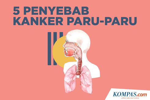 INFOGRAFIK: 5 Penyebab Kanker Paru-paru