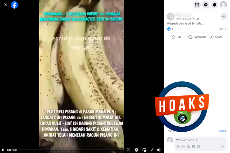 Tangkapan layar konten hoaks di sebuah akun Facebook, Rabu (12/6/2024), soal pisang impor dari Somalia mengandung cacing berbahaya yang menyebabkan kematian.