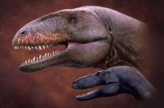 Ulughbegasaurus: Raksasa Pemangsa yang Mengintimidasi Leluhur T. rex