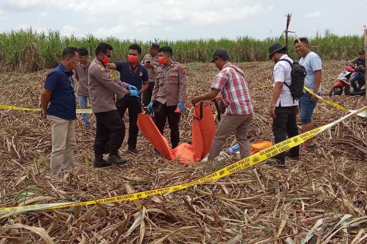 Kerangka Manusia Ditemukan di Kebun Tebu Lumajang, Diduga Sudah 2 Tahun