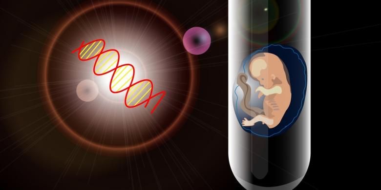 Ilustrasi bayi tabung, program bayi tabung, kehamilan.