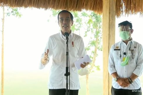 Jokowi: Jika Food Estate Dikerjakan dengan Baik, Kita Bisa Bangun Ketahanan Pangan