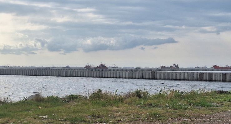 Pakar IPB Ingatkan Risiko Ekologi dari Proyek Beton Laut Cilincing