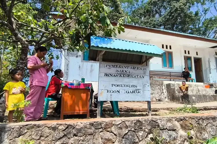 Gedung Poskedes Retak Akibat Gempa Flores, Nakes di Sikka Layani Warga di Bawah Pohon Cokelat