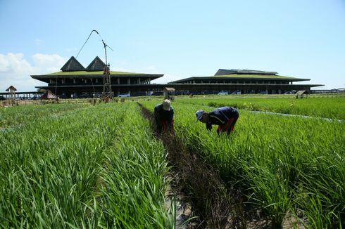 Tak Terdampak Abu Vulkanik Semeru, Penerbangan di Bandara Banyuwangi Berjalan Normal