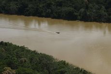 Jurnalis Inggris Hilang di Hutan Amazon, Tak Ada Jasad yang Ditemukan