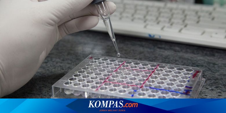 Rapid Test Acak 141 Warga di Pasar Tradisional Pontianak, 6 Orang Reaktif - Kompas.com - KOMPAS.com