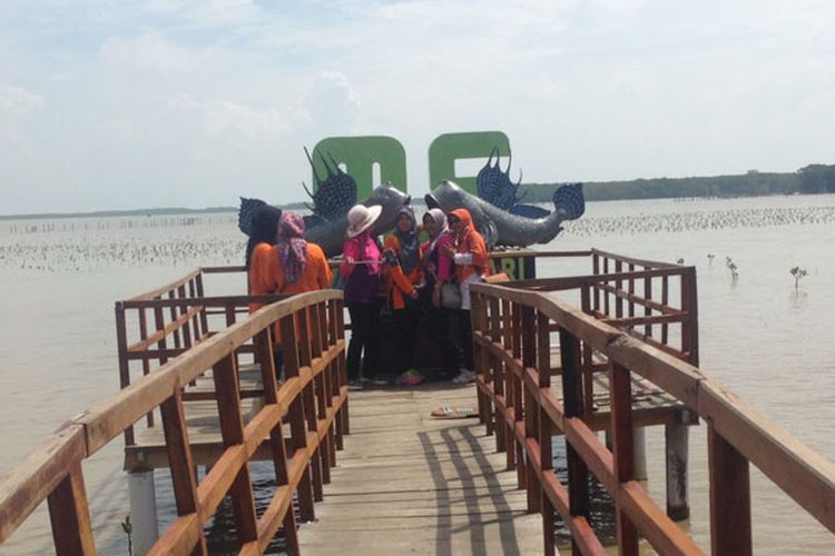 Wisata susur mangrove di Desa Kaliwingi, Kecamatan Brebes, Kabupaten Brebes, Jawa Tengah.