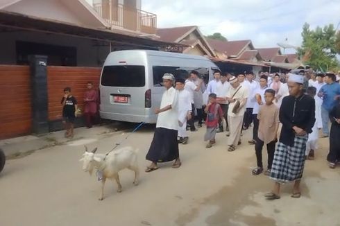 Tradisi Hadrat di Baubau Saat Idul Adha, Arak Hewan Sebelum Disembelih dengan Lantunan Shalawat