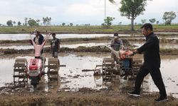 Kemenko Perekonomian Sebut Pertanian Jadi Resiliensi dan Sektor Strategis Saat Krisis Dunia