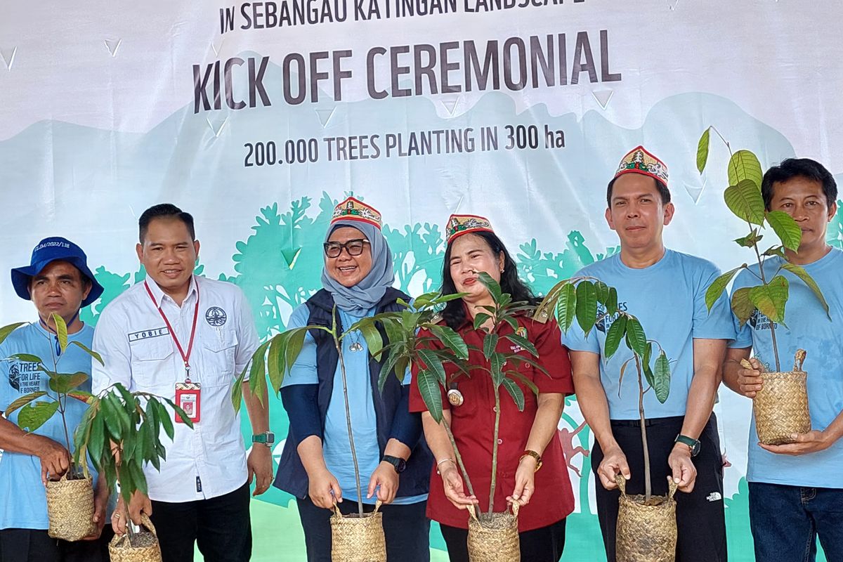 Epson bersama WWF menanam 200.000 pohon di Taman Nasional Sebangau Katingan, Kalimantan Tengah, Rabu (30/10/2024)