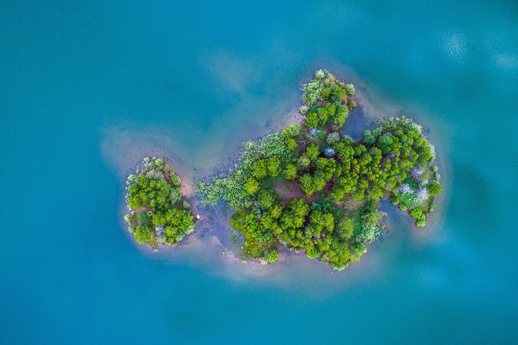 Ilustrasi Ghoramara, pulau terpencil di India.