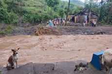 Banjir Susulan di Situbondo Rendam 134 Rumah dan Rusak 3 Jembatan