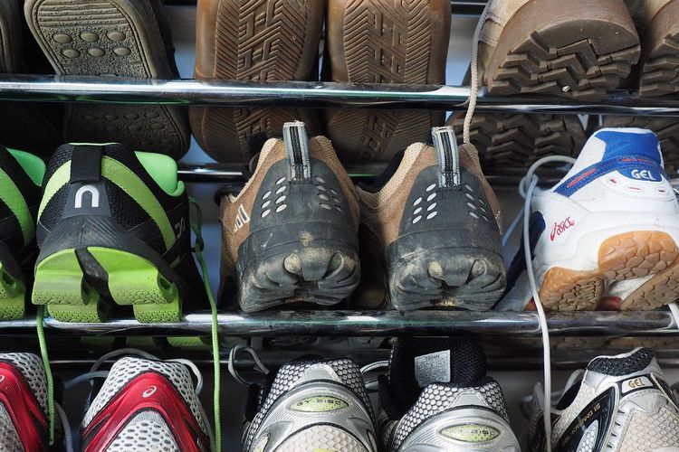 Ular sering bersembunyi di dalam sepatu.